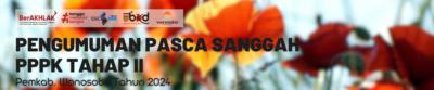Pengumuman Pasca Sanggah PPPK 2024 Tahap II