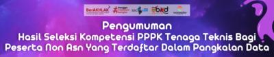 Hasil Selkom PPPK Teknis Bagi Peserta Non Asn Dalam Pangkalan Data